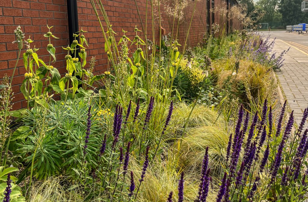 Wellbeing gravel garden - in Wigton