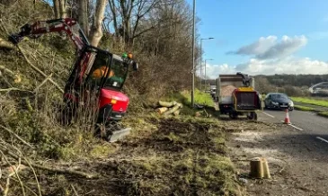 Site Clearance Services – re-claim your green space.