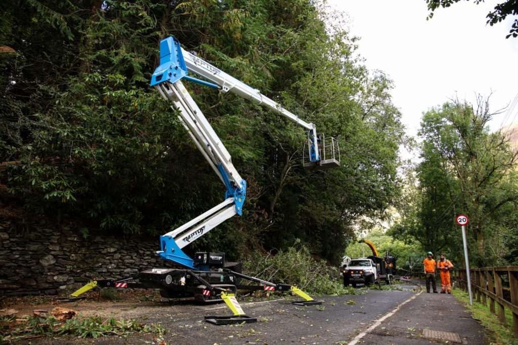 Tree removal and pruning in Patterdale to remove multiple unsafe trees.