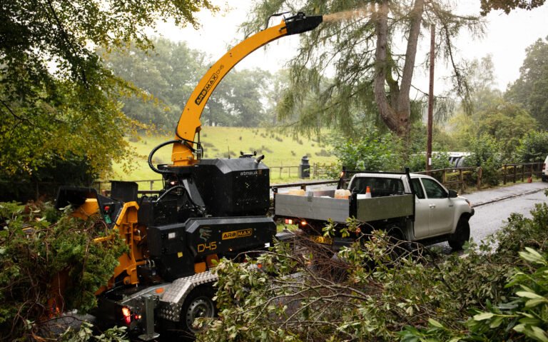 Vegetation Management: The Best Time for Pruning and Clearance