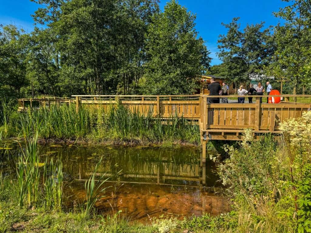 Wildlife pond in Cleator Moor