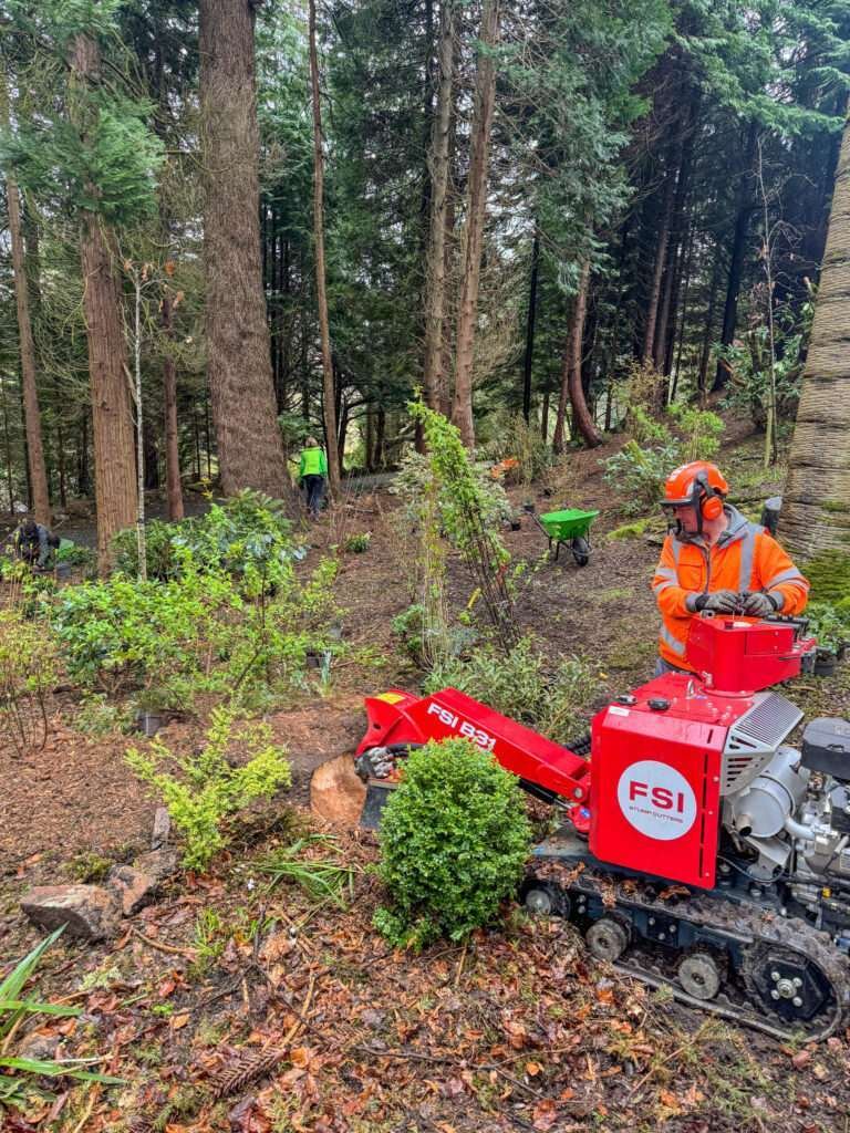 Removing an old tree stump in Patterdale