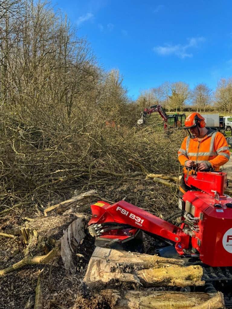 Stump removal Whitehaven