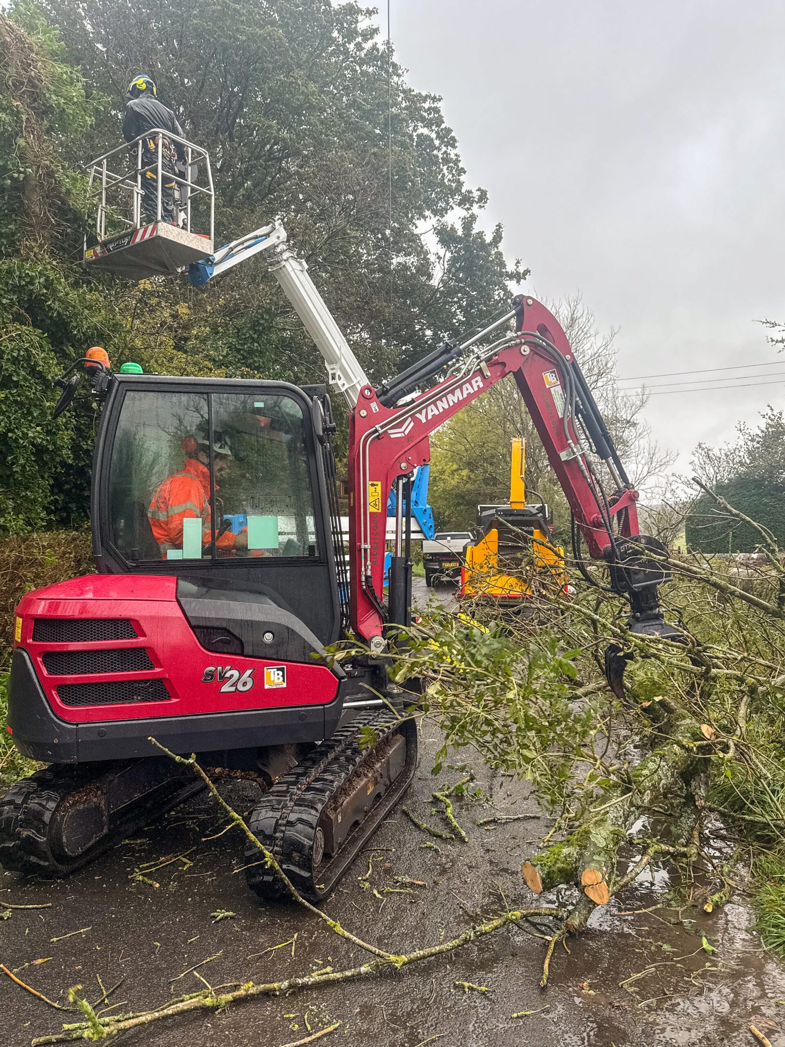 Excavator and MEWP conducting tree works on roadway