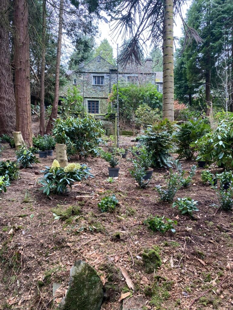 Patterdale woodland garden setting out the planting