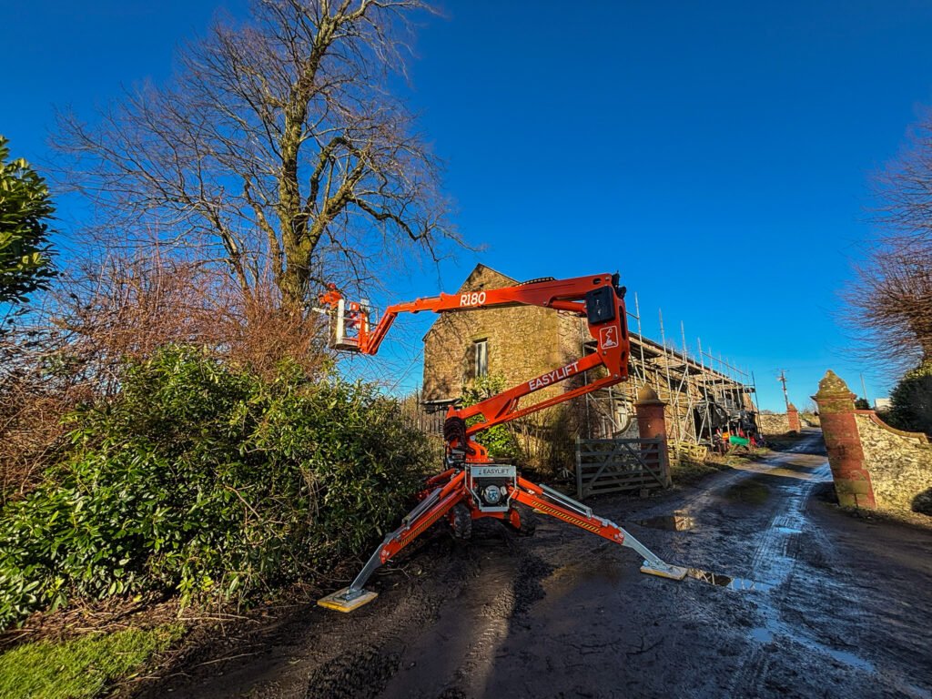 Pruning Lime Tre in Cleator Moor