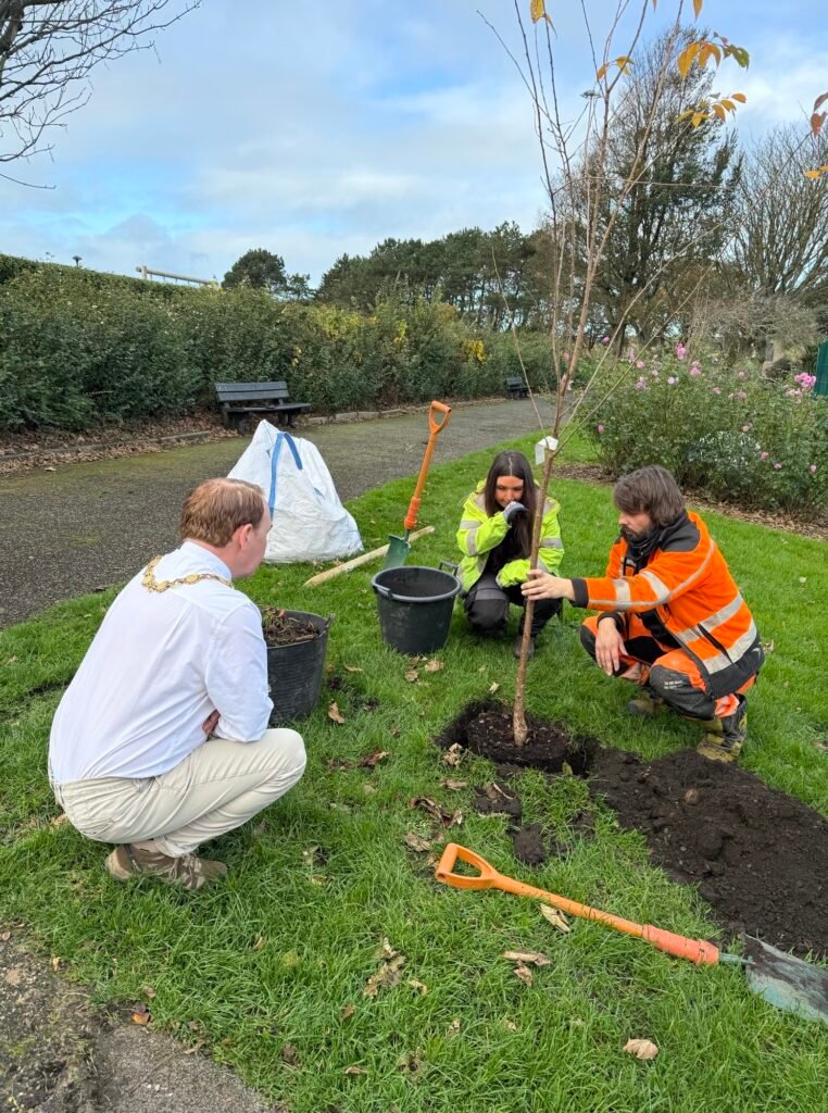 Major of Workington plants trees with Arborscape.