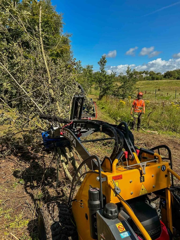 De-vegetation, Cumbria