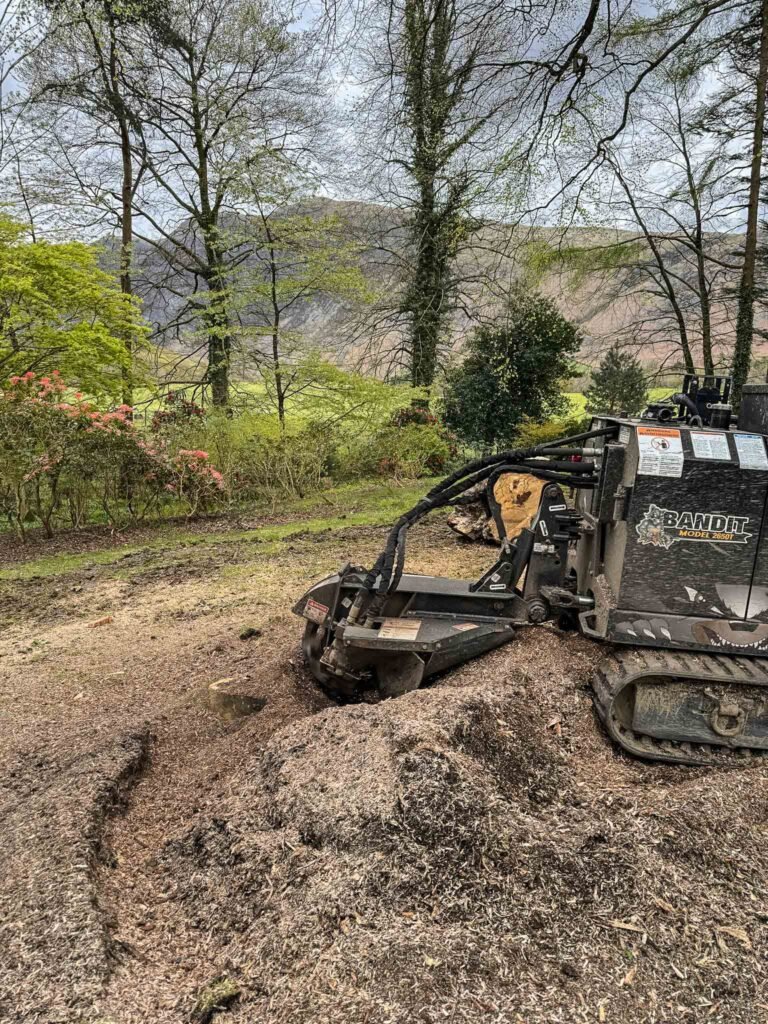 Stump removal in NetherWasdale