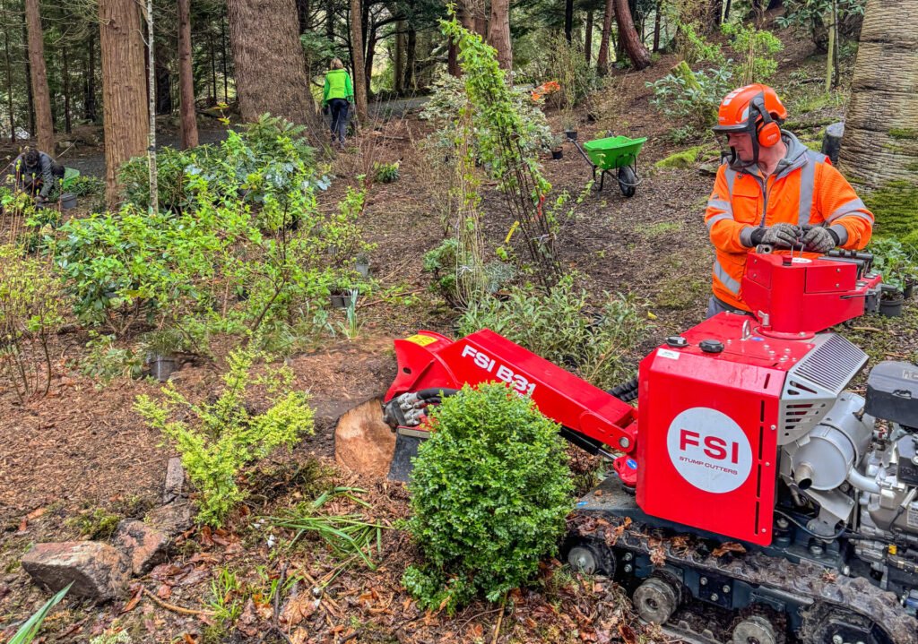 Stump removal in Patterdale
