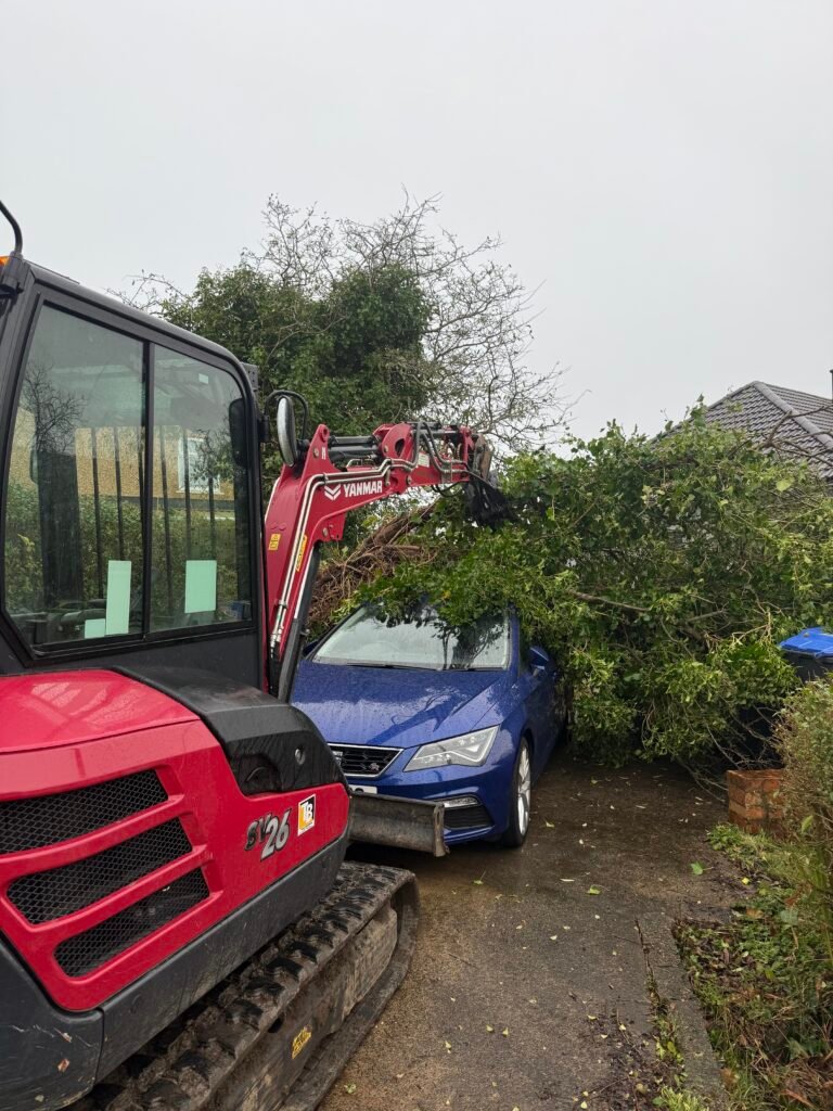 Emergency Tree Removal