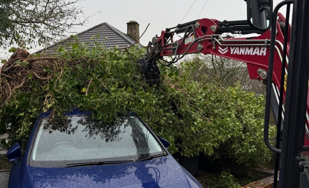 Emergency tree removal