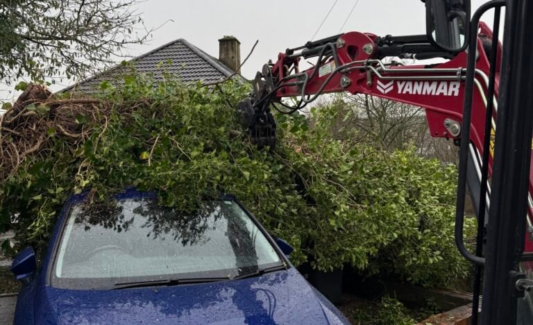 Emergency tree removal