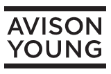avison young