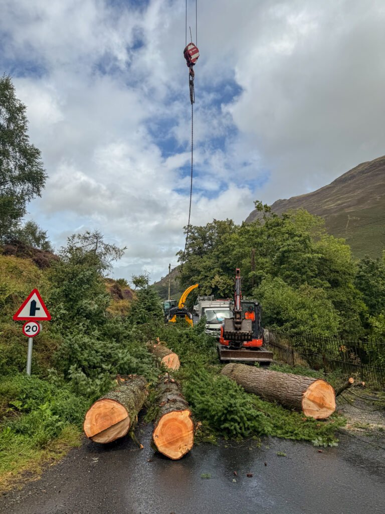Removing large tree in sections busing a straight crane, Patterdale, Cumbria