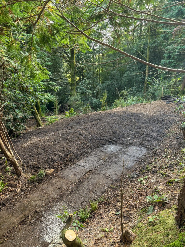 Stump removal Cumbria. The Stump has been completely removed