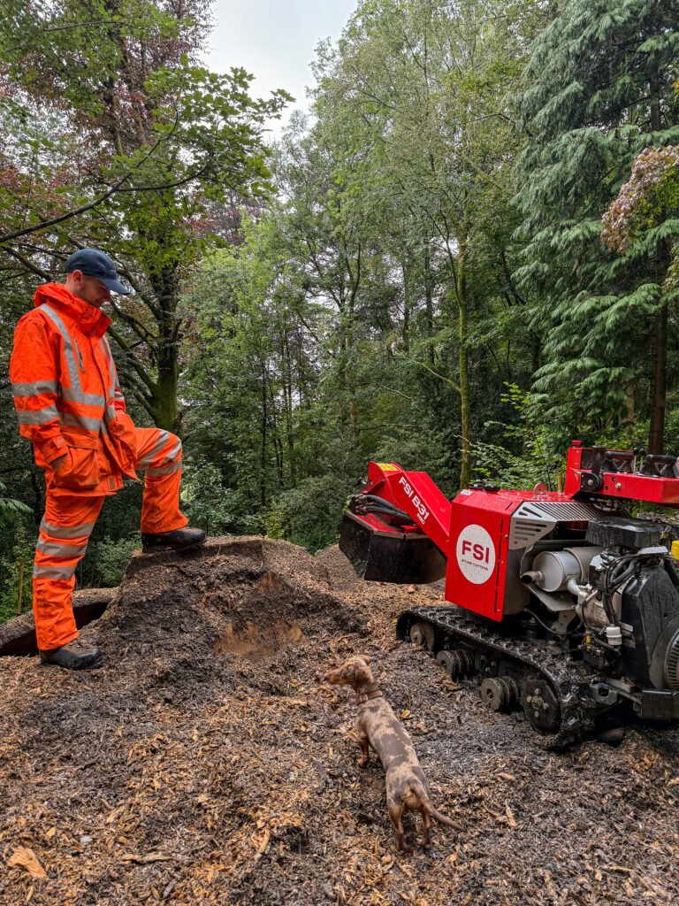 Stump removal Cumbria, part way through the process.
