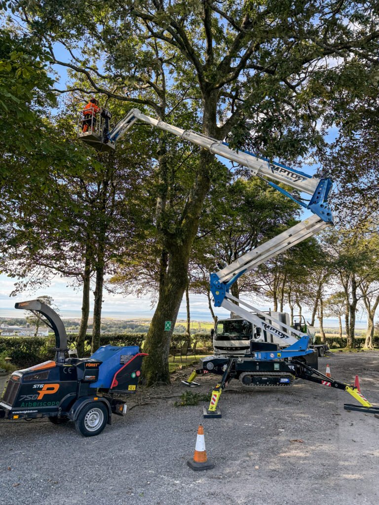 Arborist in Cumbria