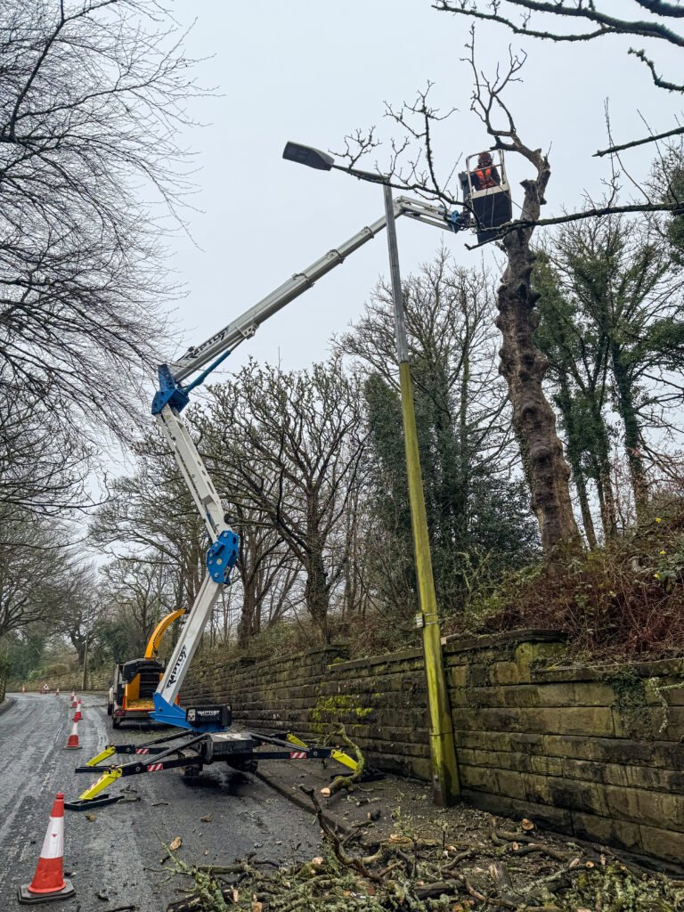 Using a MEWP as a stable platform to cut from