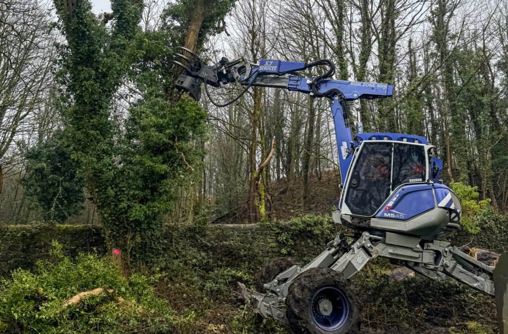Forestry services in cumbria