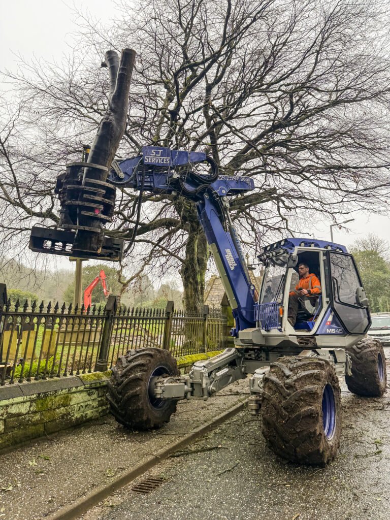 mechanised solution for hazardous trees