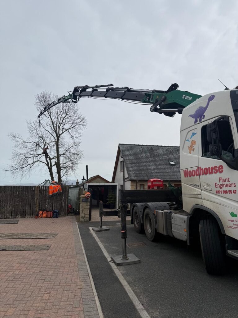 Using an articulated boom for tree removal, Cumbria