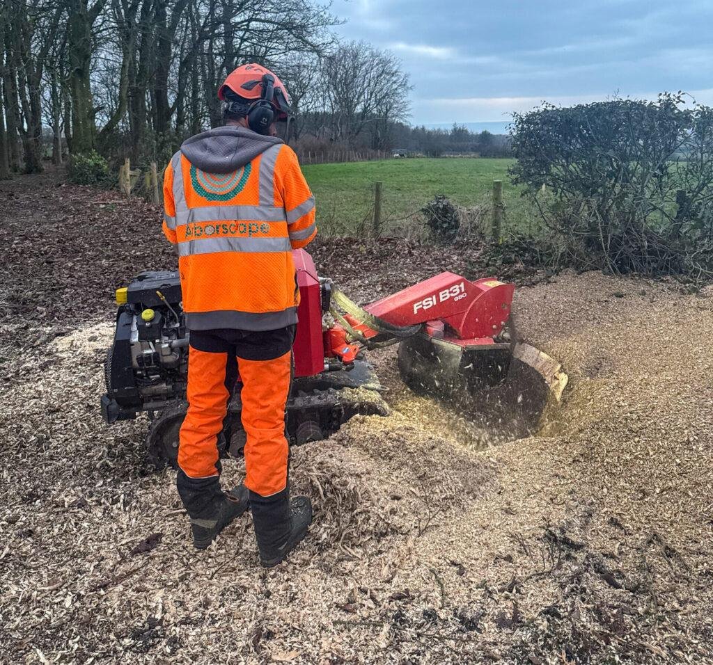 Stump removal Cumbria