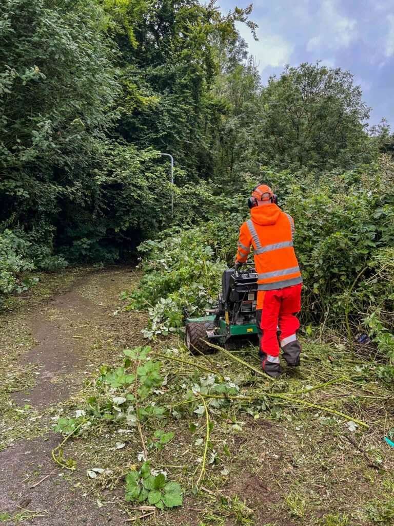 Vegetation management Cumbria