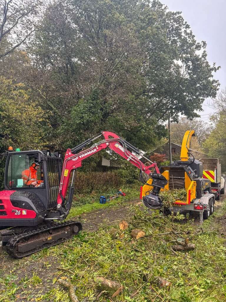 Arborist in Keswick