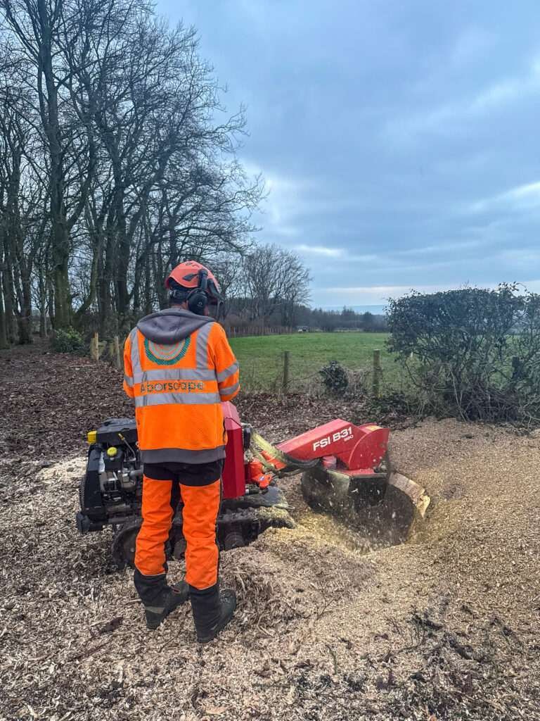 Stump grinding Keswick, Stump removal Lake District