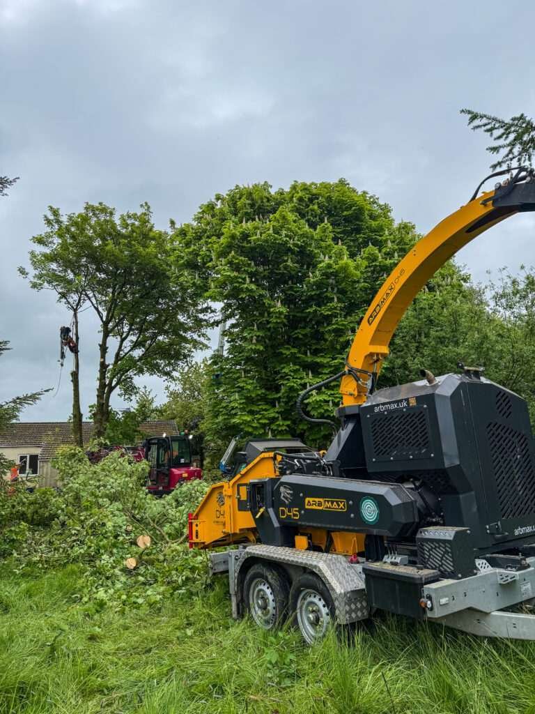 Lake District Tree surgeon