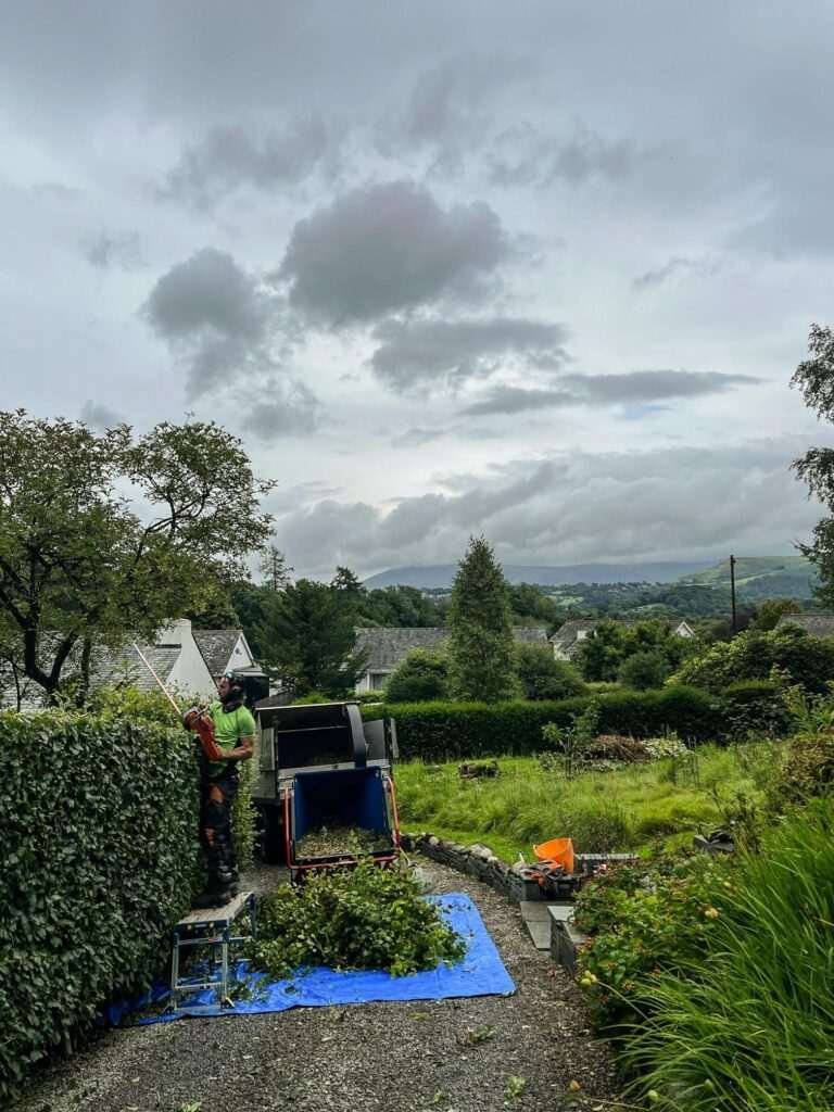 Best Times of Year to Cut Hedges